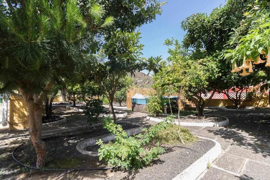 Villa Ojuelos Gran Canaria Vega de San Mateo Εξωτερικό φωτογραφία
